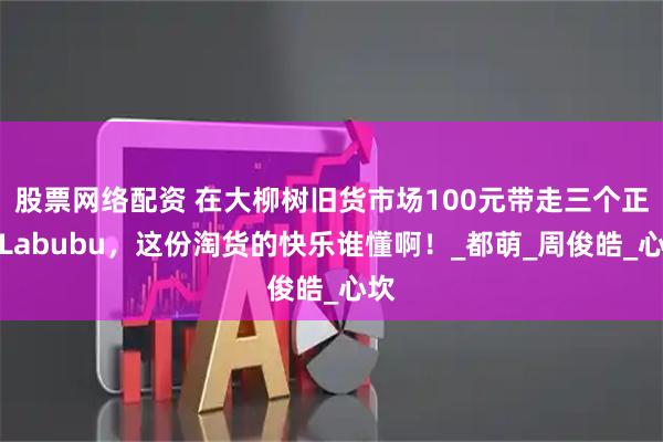 股票网络配资 在大柳树旧货市场100元带走三个正版Labubu，这份淘货的快乐谁懂啊！_都萌_周俊皓_心坎